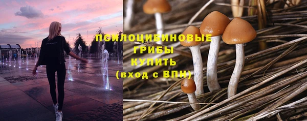 меф Алзамай