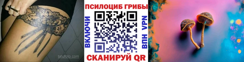 купить сайты Таганрог Псилоцибиновые грибы Psilocybine cubensis
